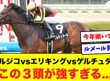 菊花賞はコイツら３頭の勝負になる！？に対するネット民の反応集【競馬】【エネルジコ】【エリキング】【ゲルチュタール】