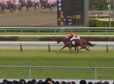 【祝】三浦皇成、悲願のG1初制覇で場内大歓喜！〜スプリンターズS 2025 〜【現地レース映像】