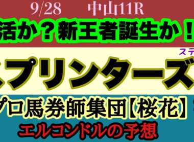 エルコンドル氏のスプリンターズステークス2025予想！！いよいよ秋のG1開幕！スプリント路線の猛者が集結！G1馬復活か！それとも世代交代の新王者誕生か？見逃し厳禁の高速決着だ！