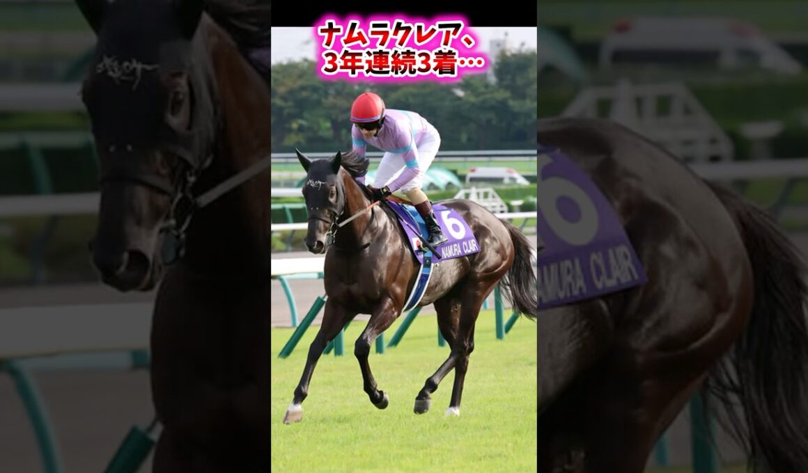 ナムラクレア、3年連続3着…【競馬反応集】 #ナムラクレア #スプリンターズステークス
