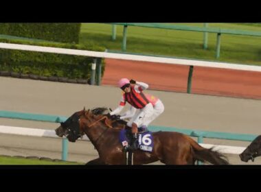 【2025 スプリンターズS】武豊×三浦皇成、壮絶な叩き合いに大歓声が沸く！