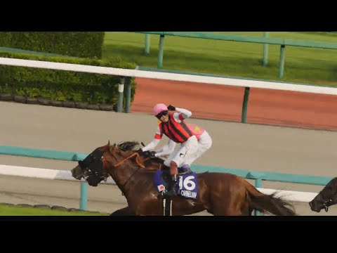 【2025 スプリンターズS】武豊×三浦皇成、壮絶な叩き合いに大歓声が沸く！