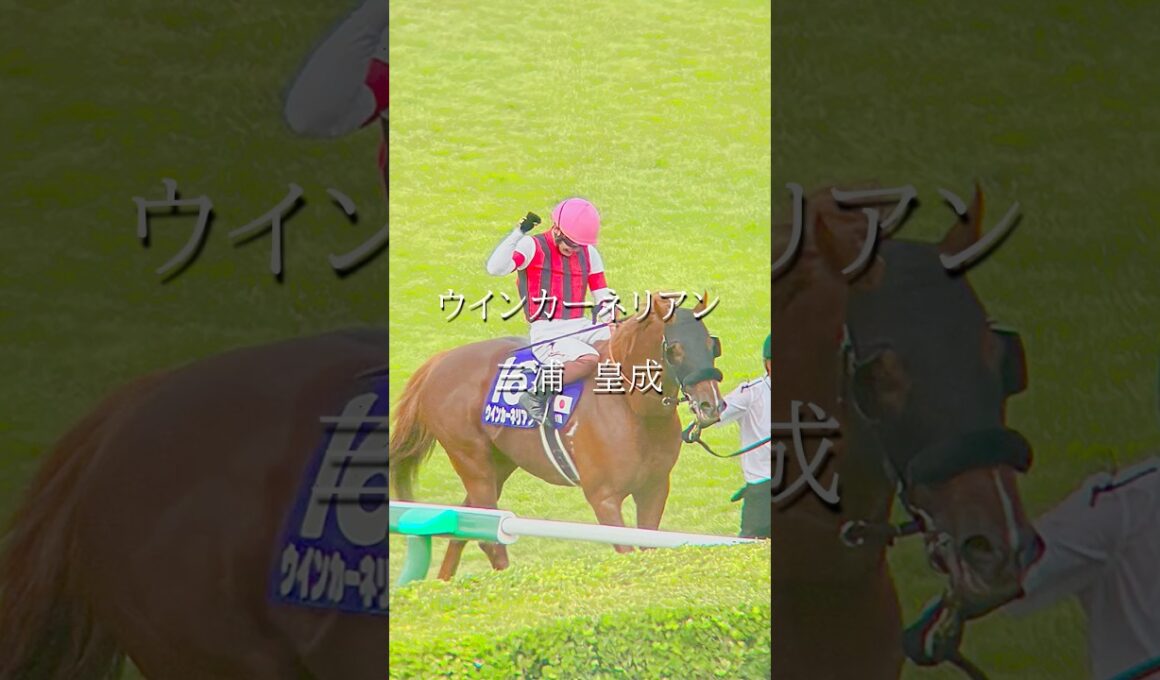 諦め無ければ”夢”は必ず叶う #競馬 #武豊  #三浦皇成　#スプリンターズステークス　#凱旋門賞 #秋華賞