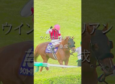諦め無ければ”夢”は必ず叶う #競馬 #武豊  #三浦皇成　#スプリンターズステークス　#凱旋門賞 #秋華賞