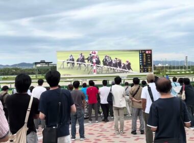 2025年スプリンターズS 阪神競馬場の様子