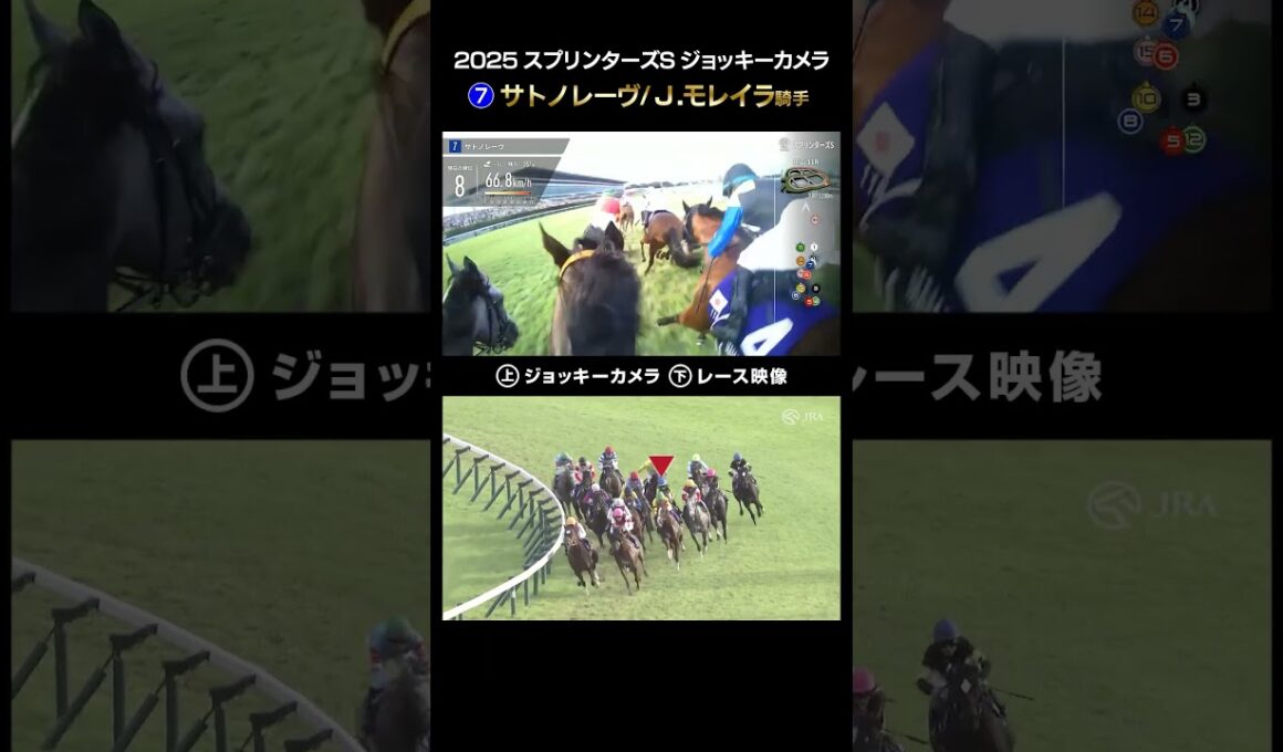 【ジョッキーカメラ×レース映像】2025年スプリンターズステークス サトノレーヴ J.モレイラ騎手 #shorts ｜JRA公式