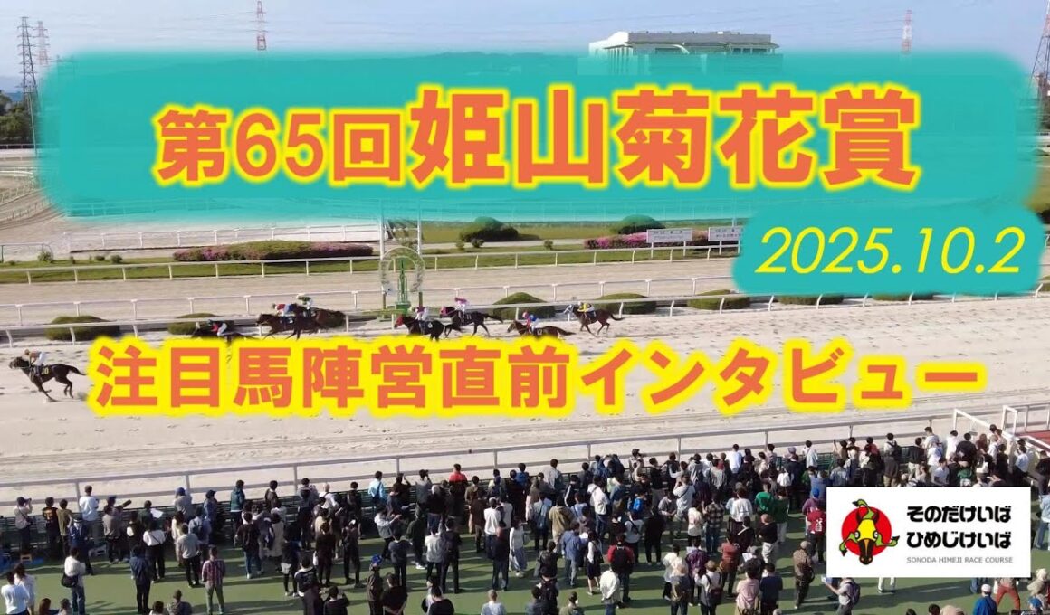 第６５回 姫山菊花賞 注目馬陣営直前インタビュー！