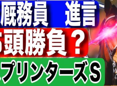 スプリンターズステークス2025予想！今年の注目馬と見どころを元厩務員が徹底解説！