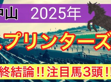 【スプリンターズステークス2025】蓮の競馬予想(最終結論)