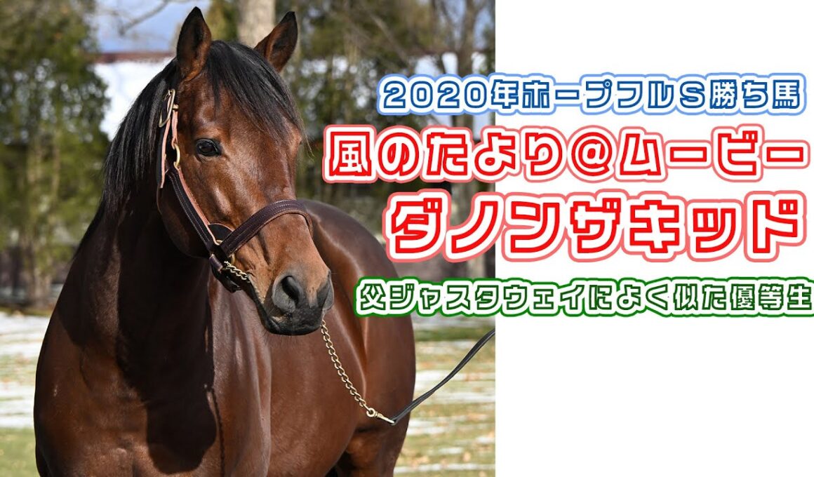 【風のたより＠ムービー】ホープフルS優勝馬ダノンザキッドの最新映像！～P．S．父ジャスタウェイと同厩だったゴールドシップとひとつ屋根の下～