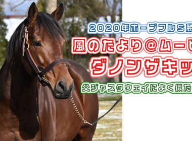 【風のたより＠ムービー】ホープフルS優勝馬ダノンザキッドの最新映像！～P．S．父ジャスタウェイと同厩だったゴールドシップとひとつ屋根の下～