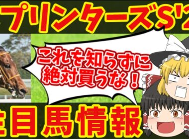 【スプリンターズS】内枠妄信に注意！今年も荒れる？！知らないと損をする注目馬の情報！！