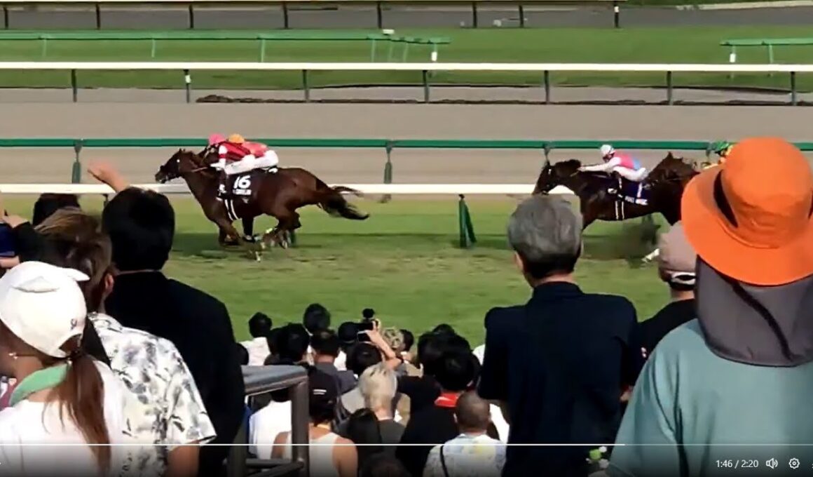 スプリンターズステークスGI 2025.09.28 伏兵ウィンカーネリアン先行競勝 三浦皇成GI 127度目の挑戦で初勝利