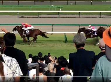 スプリンターズステークスGI 2025.09.28 伏兵ウィンカーネリアン先行競勝 三浦皇成GI 127度目の挑戦で初勝利