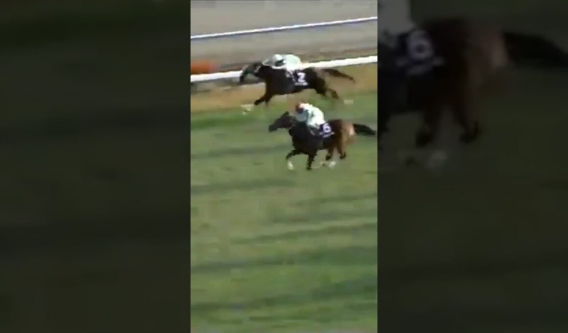 #shorts 1999 エリザベス女王杯 #メジロドーベル #吉田豊