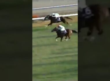 #shorts 1999 エリザベス女王杯 #メジロドーベル #吉田豊