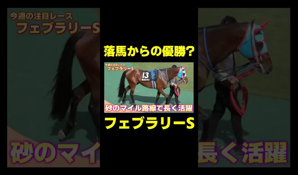 この馬の末脚には要警戒!! フェブラリーS 　#競馬 #競馬予想 #フェブラリーs #フェブラリーステークス