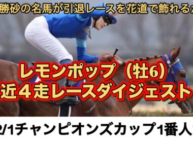 【レモンポップ】12/1GⅠチャンピオンズカップ1番人気！近4走レースダイジェスト