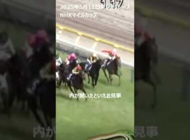 【NHKマイルカップ・マジックサンズ2着】インを突き怒涛の追い込み・武騎手痺れたぜ！ #競馬 #マジックサンズ #武豊騎手