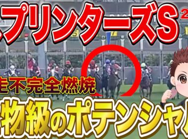 【スプリンターズS】前走不利が大きく巻き返しに期待できる馬3選！前走回顧まとめ #スプリンターズs2025 #競馬予想 #スプリンターズステークス