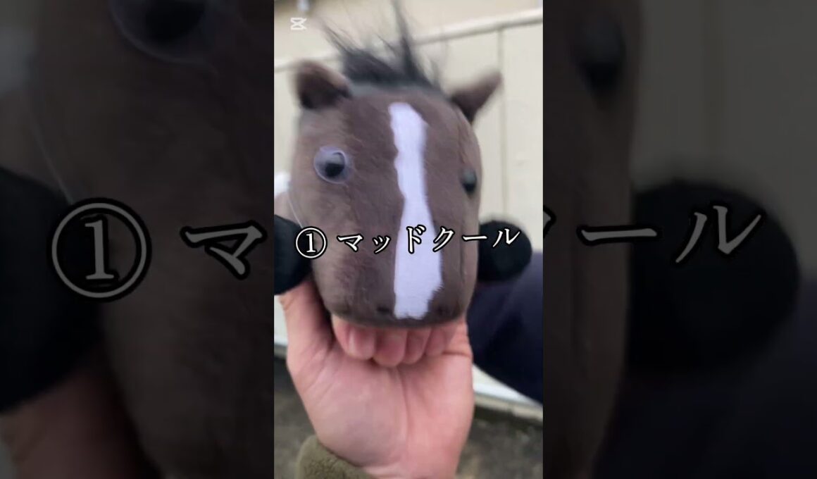 高松宮記念予想動画！！ #競馬 #競馬予想