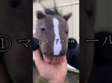 高松宮記念予想動画！！ #競馬 #競馬予想