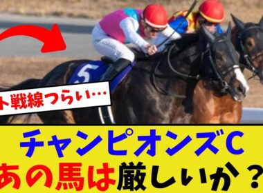 チャンピオンズカップ、出走枠争いがヤバい…【競馬反応集】