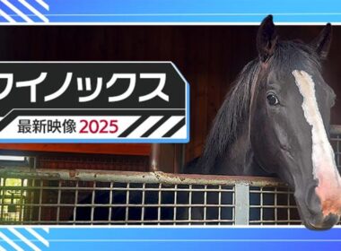 【イクイノックスの今】社台SSで過ごす史上最強馬イクイノックスの日常を公開