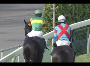 【マイネルグロン出走】中山11R 中山グランドジャンプ《J・G1》