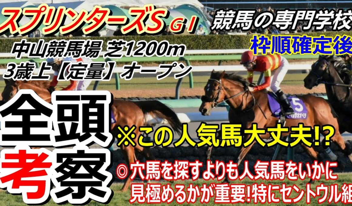 【スプリンターズS2025】全頭考察 上半期GⅠ12戦9勝の競馬の専門学校が徹底分析