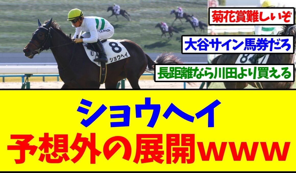 【菊花賞】ショウヘイさん、予想外の展開【反応集】