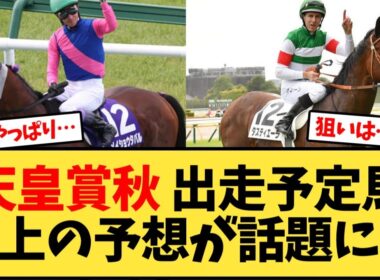 天皇賞秋 出走予定馬鞍上の予想が話題に…【競馬反応集】