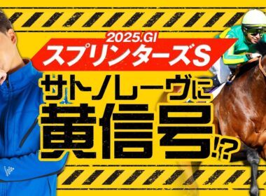 【スプリンターズS 2025】本命はサトノレーヴにあらず！充実ぶり光るコース適性抜群の穴馬で勝負！【競馬予想】