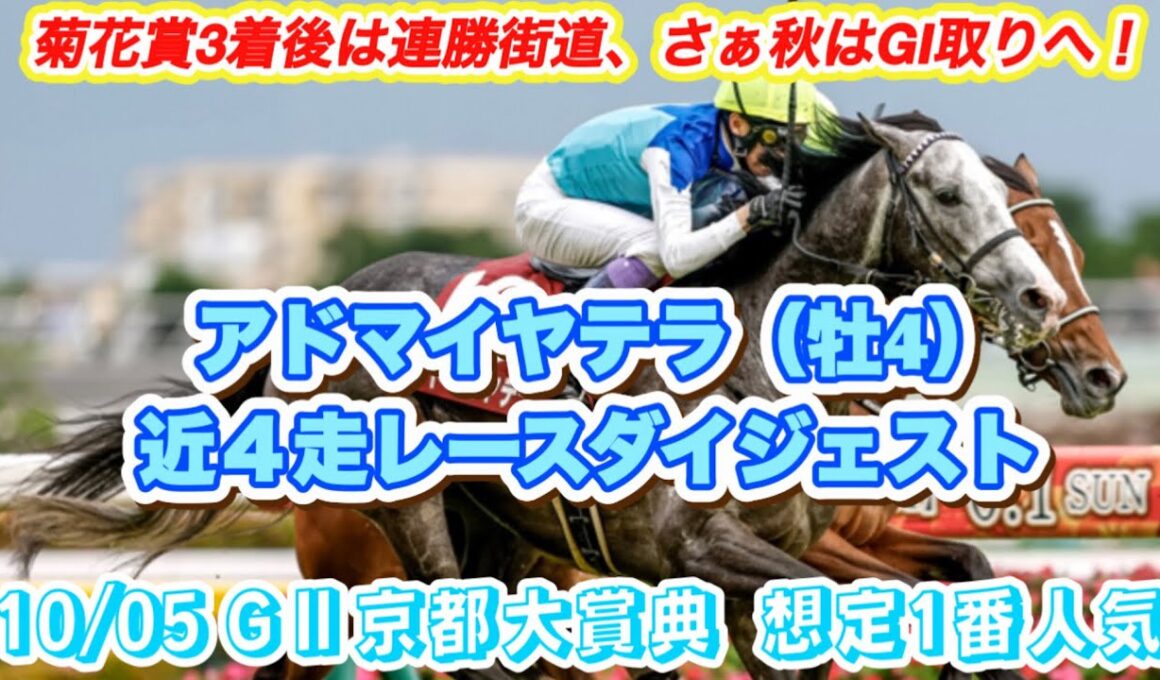 【アドマイヤテラ】GⅡ京都大賞典想定1番人気！菊花賞3着後は無敗！近4走レースダイジェスト