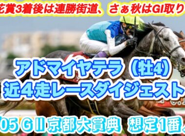 【アドマイヤテラ】GⅡ京都大賞典想定1番人気！菊花賞3着後は無敗！近4走レースダイジェスト