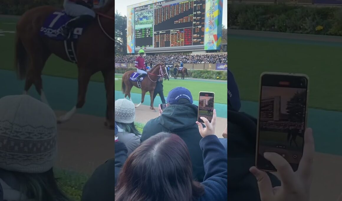 2024 ジャパンC パドック