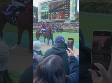 2024 ジャパンC パドック