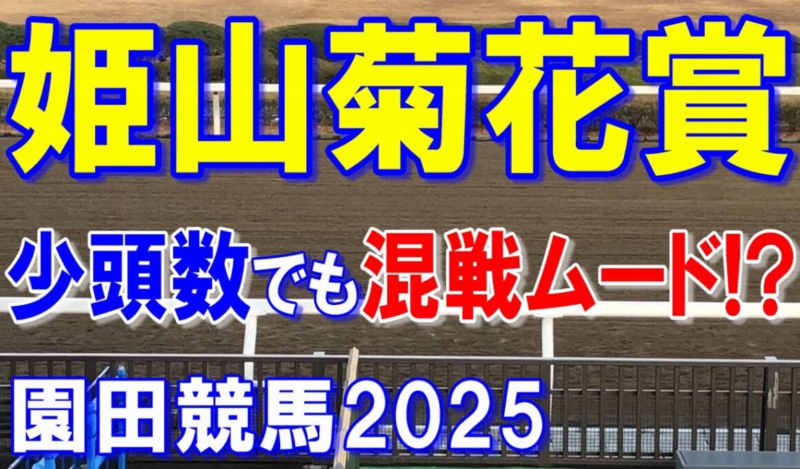 姫山菊花賞２０２５【姫山菊花賞】南関VS兵庫ガチンコ勝負！？