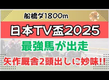 日本TV盃・サンライズカップ2025予想【競馬】全頭診断＋調教診断＋買い目
