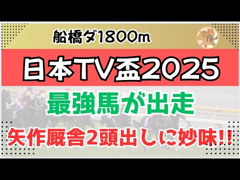 日本TV盃・サンライズカップ2025予想【競馬】全頭診断＋調教診断＋買い目