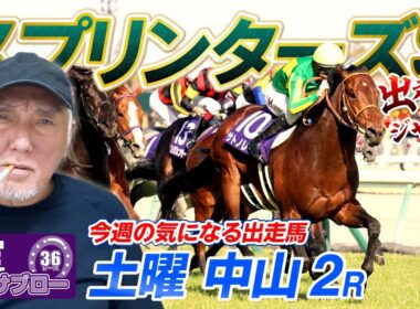 【スプリンターズS】出走馬ジャッジ