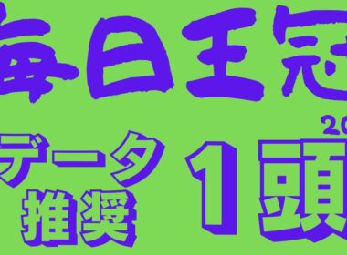【毎日王冠2025】データ分析｜マイルCS・天皇賞・・・それぞれの秋に向けた大事な始動戦！今後のためにここは落とせない！調教絶好の妙味馬も！