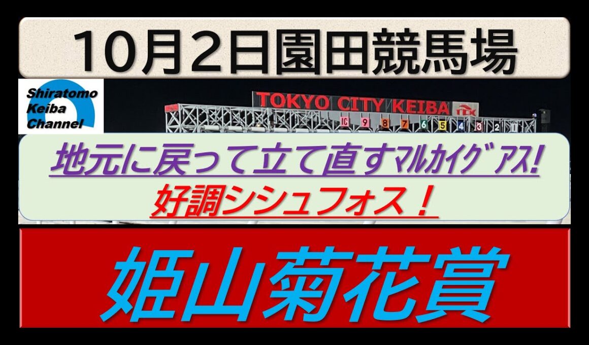 【競馬予想】重賞・姫山菊花賞～２０２５年１０月２日園田競馬場 ：１０－４
