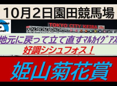 【競馬予想】重賞・姫山菊花賞～２０２５年１０月２日園田競馬場 ：１０－４