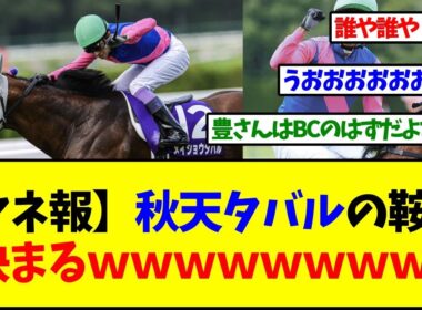 天皇賞秋、メイショウタバルの鞍上がまさかのあの人に確定するｗｗｗ【反応集】