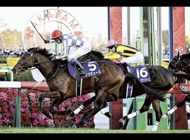 2023　有馬記念 GⅠ　ドウデュース　武豊