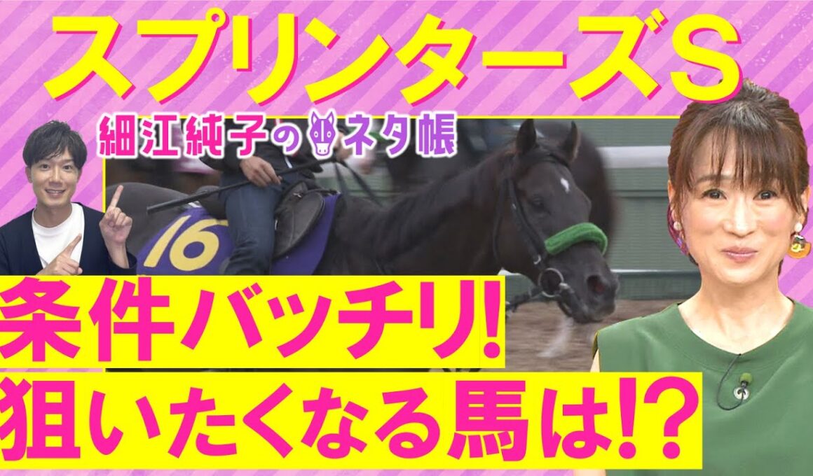 【４週連続注目馬が激走中！】「イッパツ狙うならここ！」サトノレーヴ、ナムラクレア、ママコチャ・・・スプリンターズステークス(ＧⅠ)を元ジョッキーの細江純子さんが解説！＜細江純子のネタ帳＞