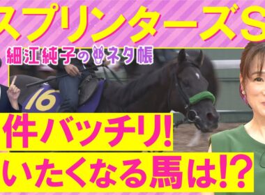 【４週連続注目馬が激走中！】「イッパツ狙うならここ！」サトノレーヴ、ナムラクレア、ママコチャ・・・スプリンターズステークス(ＧⅠ)を元ジョッキーの細江純子さんが解説！＜細江純子のネタ帳＞