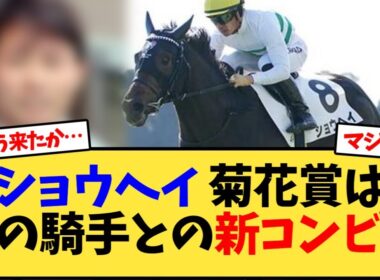 ショウヘイ 菊花賞はあの騎手との新コンビ…【競馬反応集】