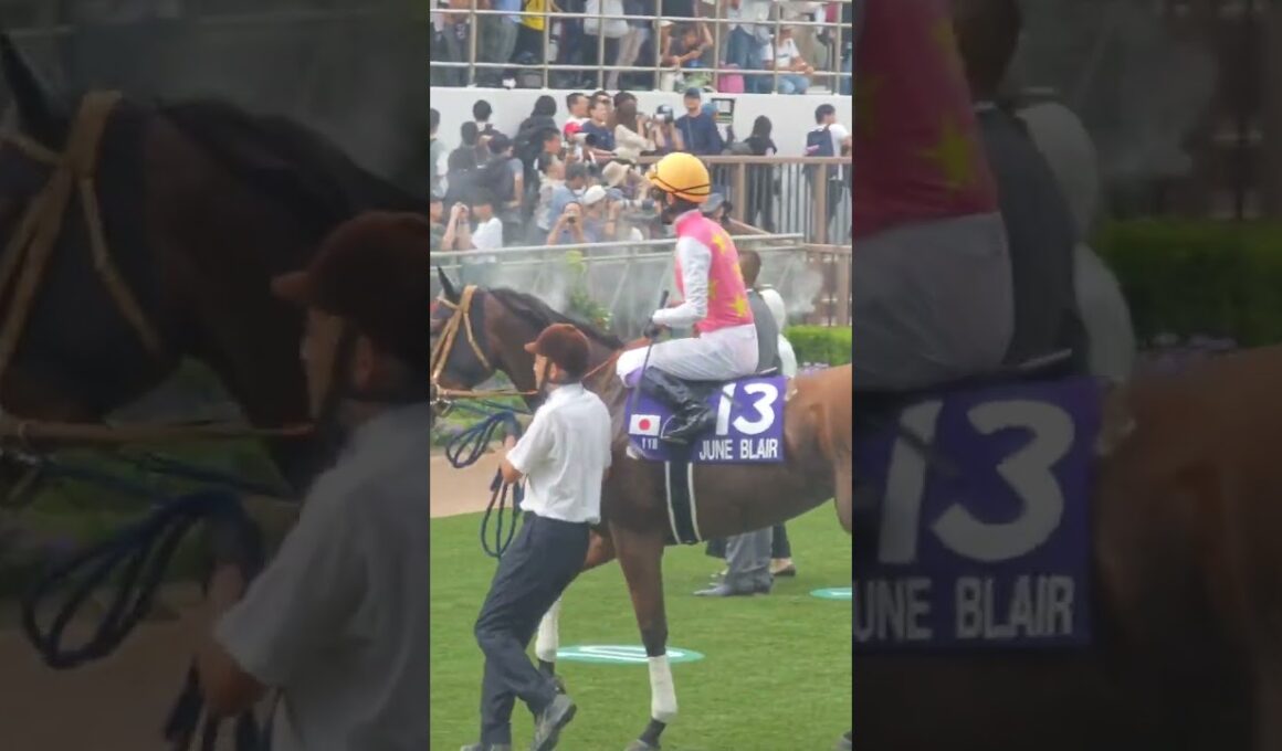 【G1スプリンターズS2025パドック現地映像】#スプリンターズステークス #三浦皇成 #ウインカーネリアン #g1 #初制覇#パドック#競馬#競馬予想#競馬場 #現地映像#武豊#ルメール#モレイラ